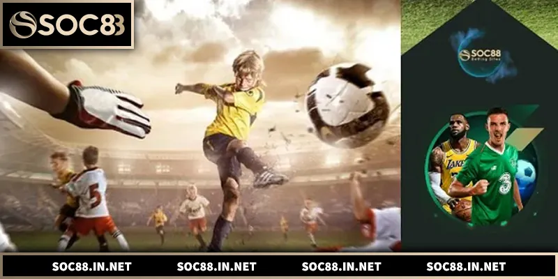 Hệ thống cá cược thể thao đa dạng, kèo rõ ràng, trải nghiệm ổn định