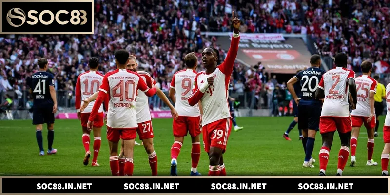 Soi Kèo Bundesliga – Phân Tích Chuẩn Xác Từ Chuyên Gia