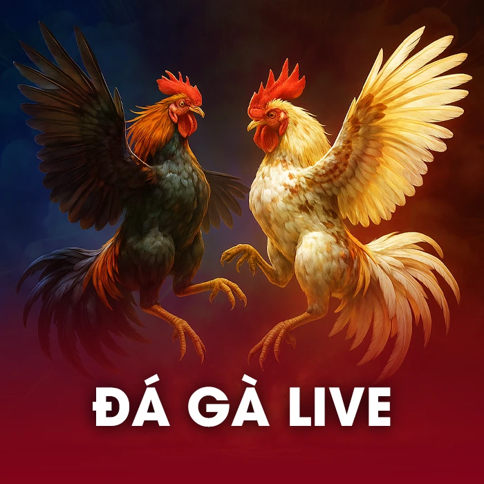 Trò chơi Đá Gà Live