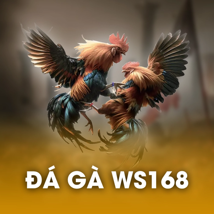 Trò chơi Đá Gà WS168